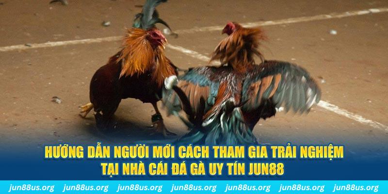 k12 CQ9 Điện Tử