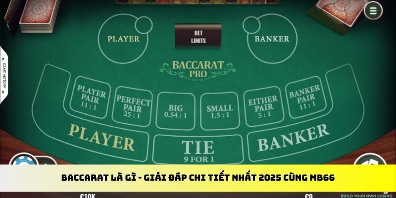 gà chọi cu cần