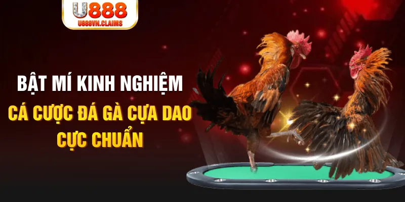 k12 tỷ lệ cá cược châu á là gì