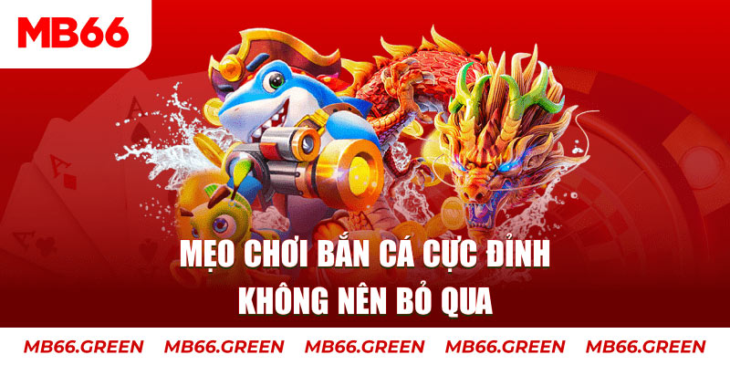 k12 xổ số miền bắc