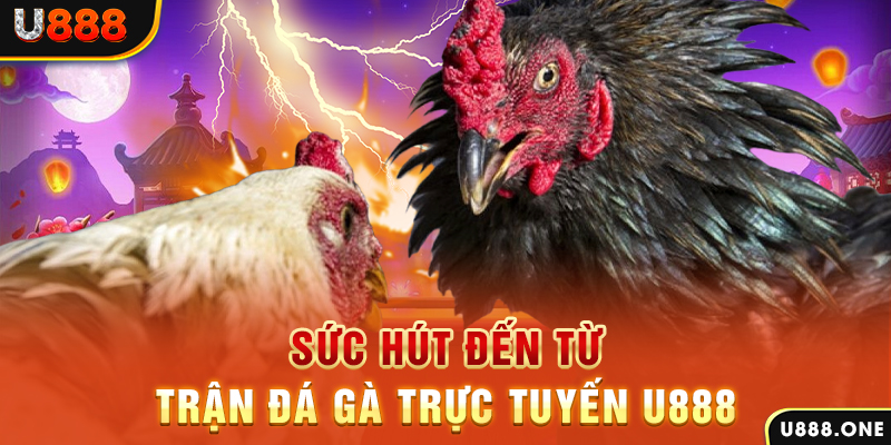 k12 nổ hũ b29 là gì