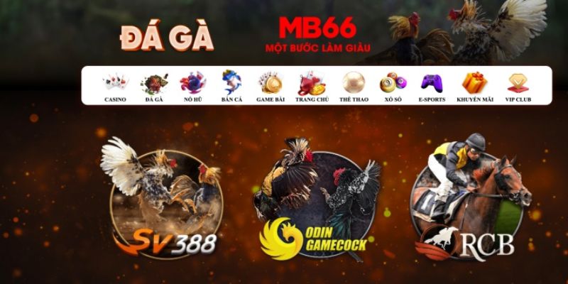 k12 đăng nhập poker số 1