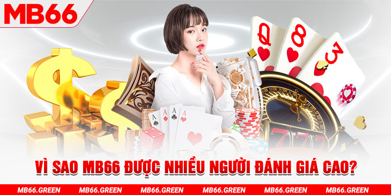 k12 đá gà