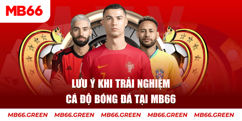 k12 cá cược là gì