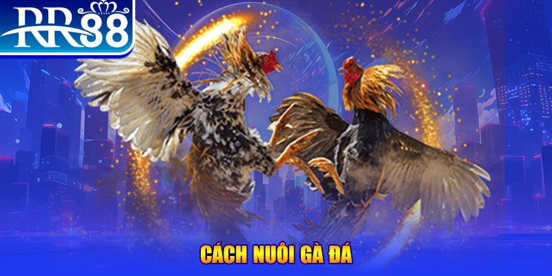 k12 xổ số an giang