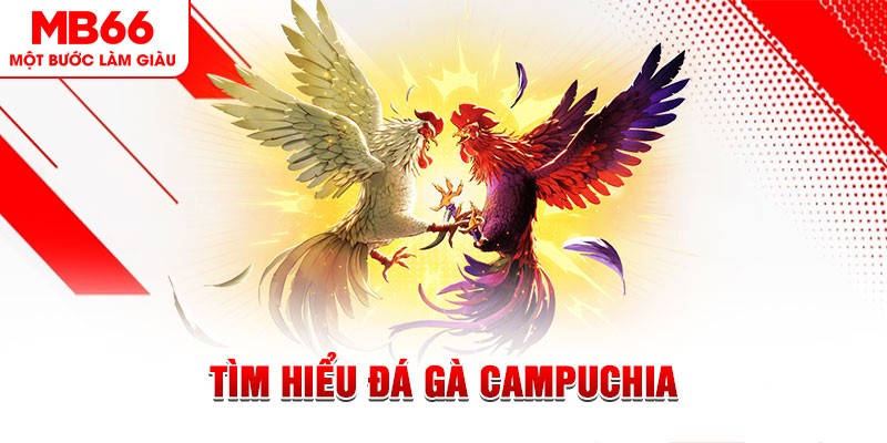 k12 game đánh bài trên máy tính