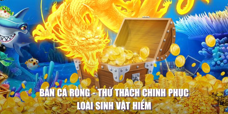 k12 máy slot game là loại trò chơi gì？