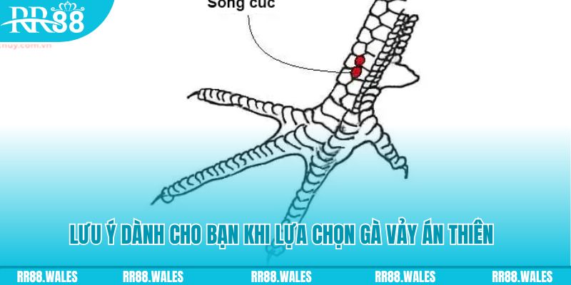 k12 xổ số đồng nai