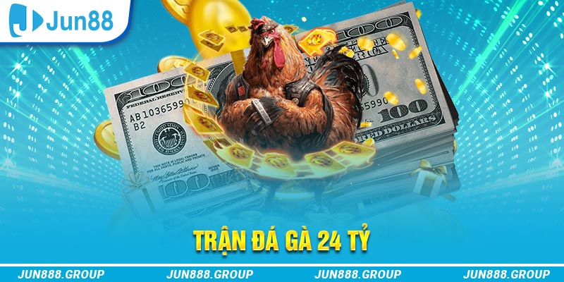 k12 trực tiếp đá gà