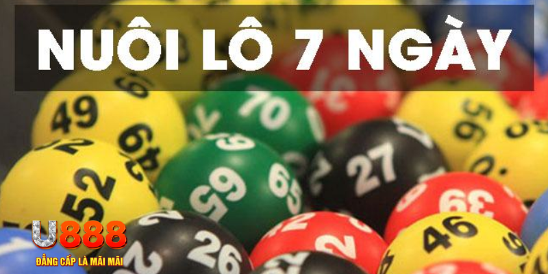 k12 slot là j
