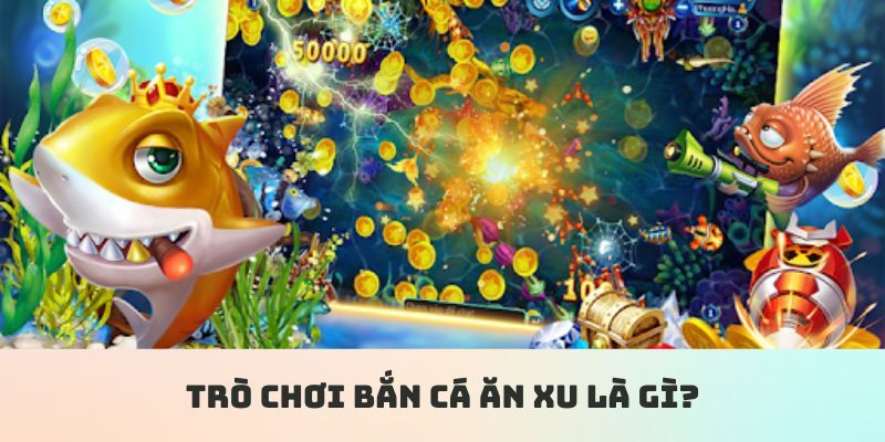 k12 so xo hom nay