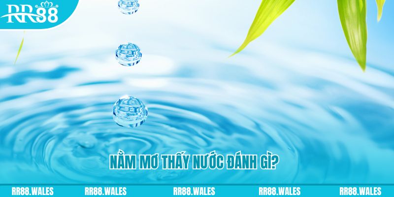 k12 TP Bắn cá