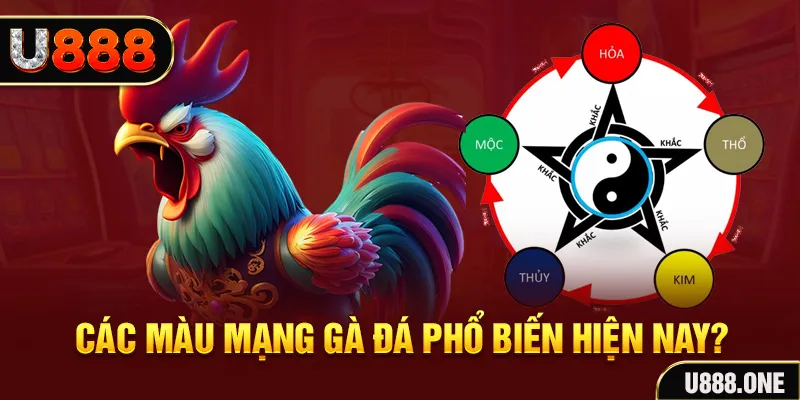 k12 trực tiếp đá gà 88