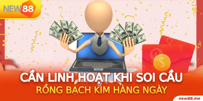 k12 gà chọi c1.tv