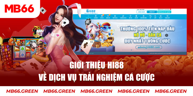 k12 ga choi hoa phong