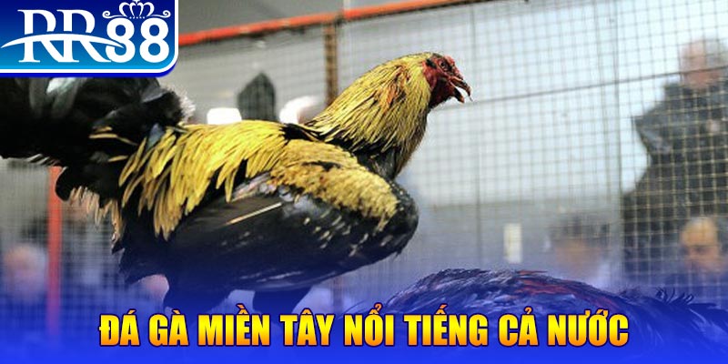 k12 JILI Game Bài 3d
