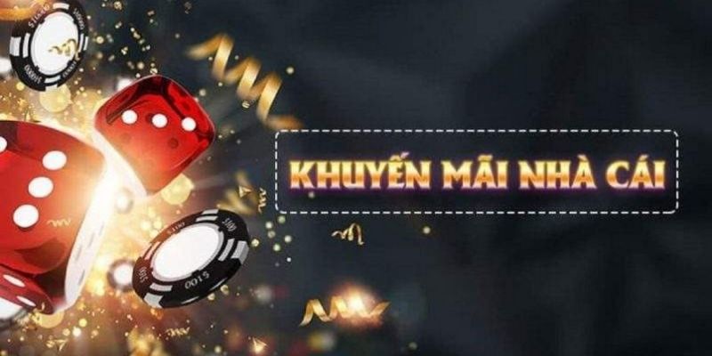 k12 what is live dealer casino