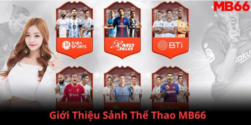 k12 đăng nhập phỏm 2024