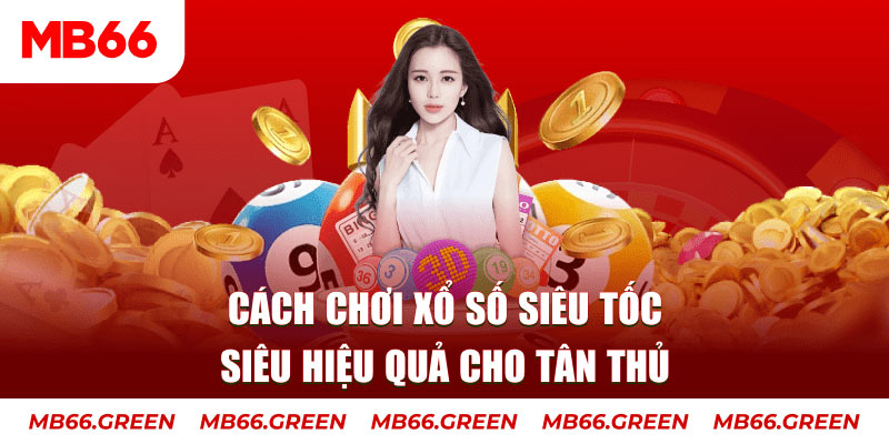 k12 Cỡ bảy