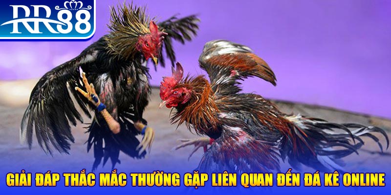 k12 xổ số đà lạt
