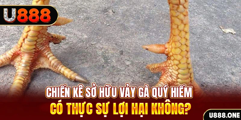 k12 nohu .mx nổ hủ là gì