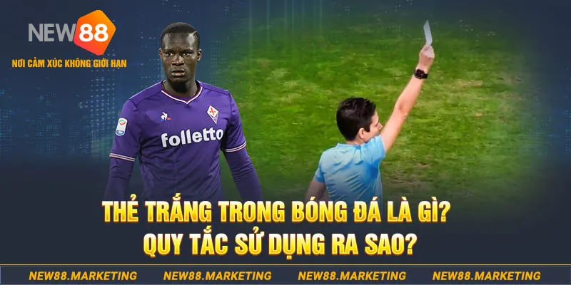 k12 gà chọi mộc hóa