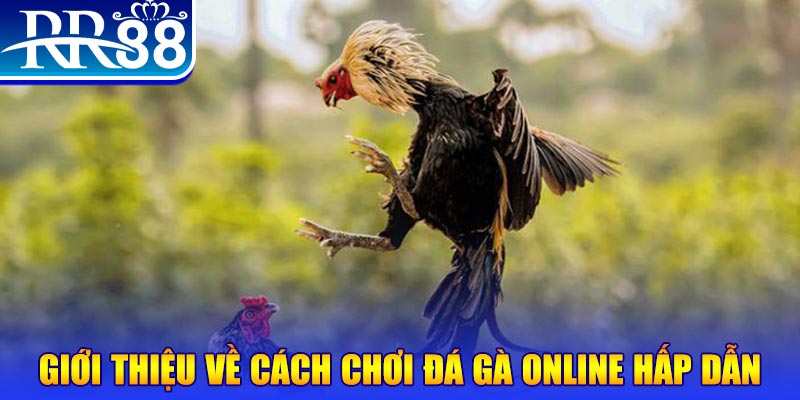 k12 game nổ hũ rút tiền mặt là gì