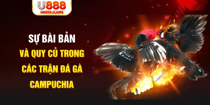 k12 YGR Điện Tử