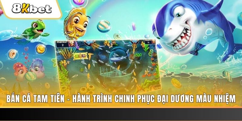 k12 xổ số bình định