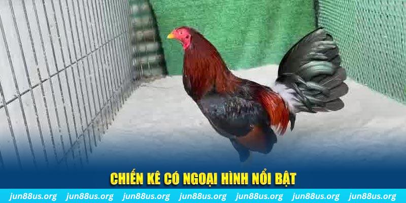 k12 chạy quảng cáo cho game bài bị phạt như thế nào