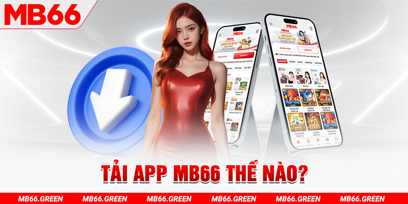 k12 đá gà 88