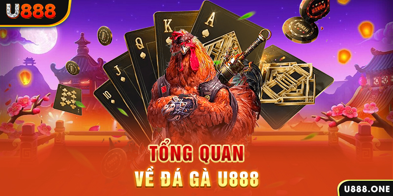 k12 ILOVEU Điện Tử