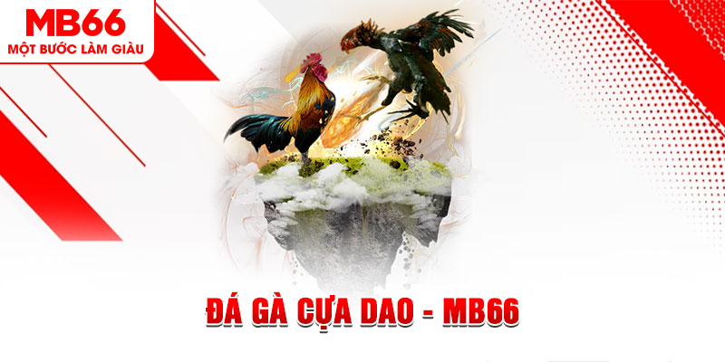 k12 đá gà sv388 gold